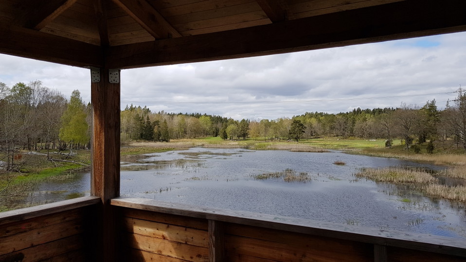 Utsikt från fågeltornet. Foto Lidingö stad