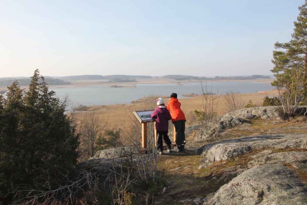 Två barn står vid en informationstavla uppe på en höjd. Från platsen har man utsikt över mycket vass, vatten och strandängar. 