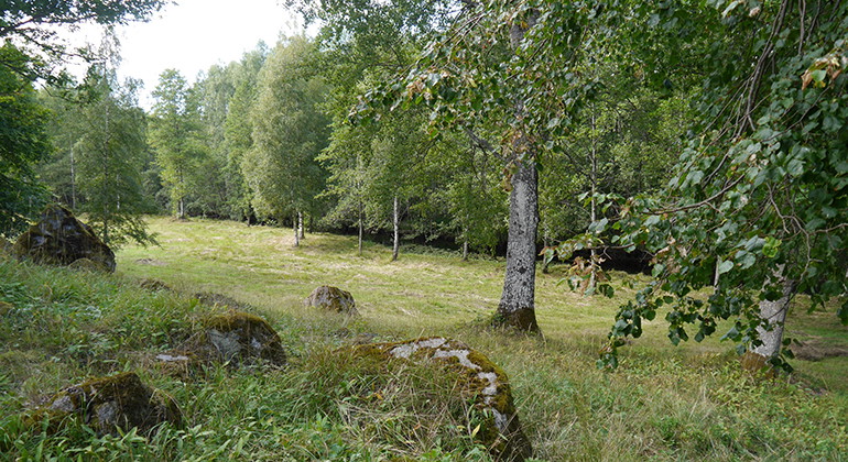 Fotograf: Erik Nordlind