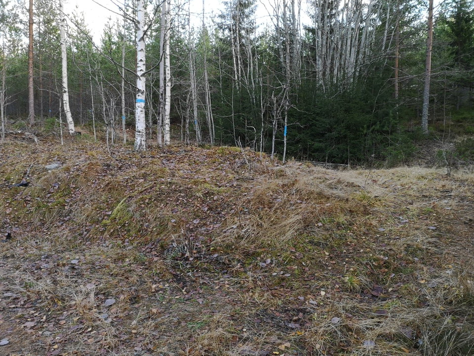 Vid en vändplan startar stigen.