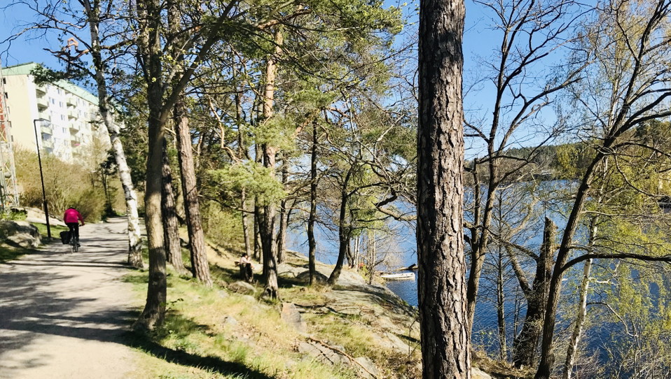Foto: Sofia Lindgren