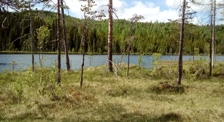 Bodåsen höjd reser sig mot horisonten.