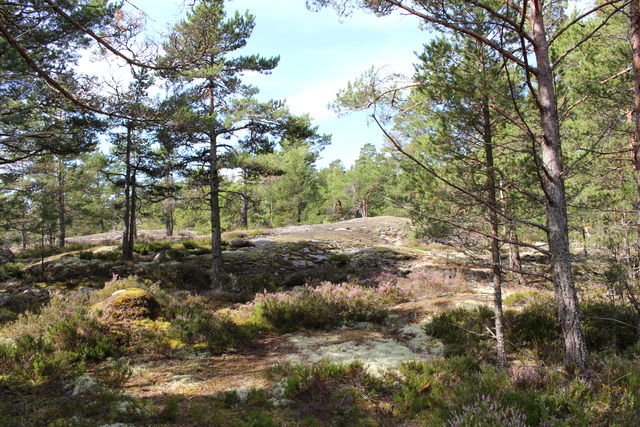 Malmaön