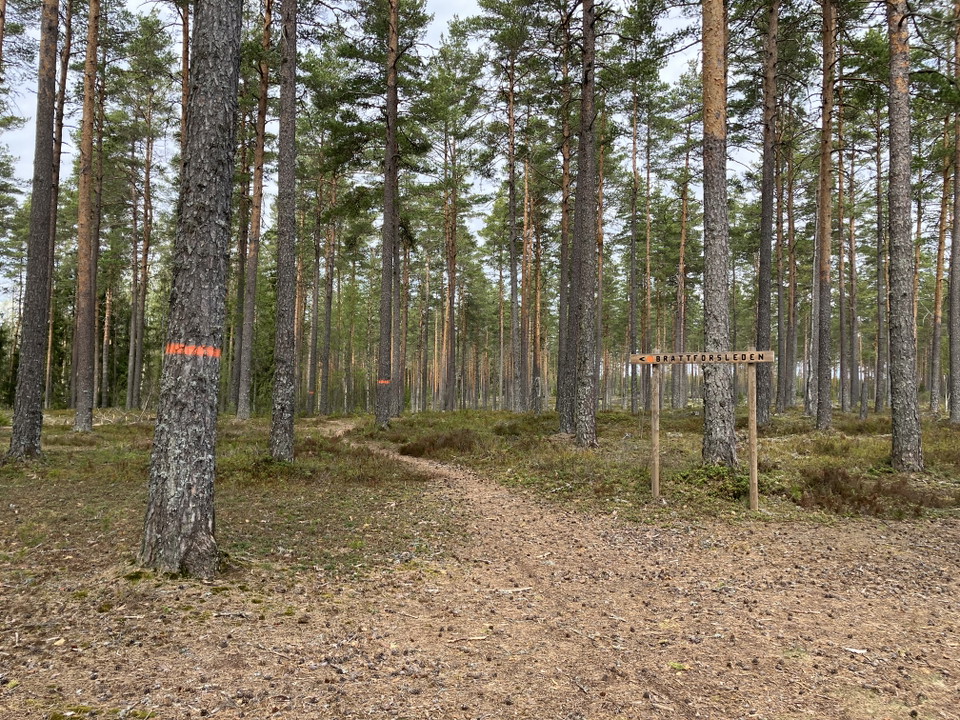 Led från Stora Tjärn.