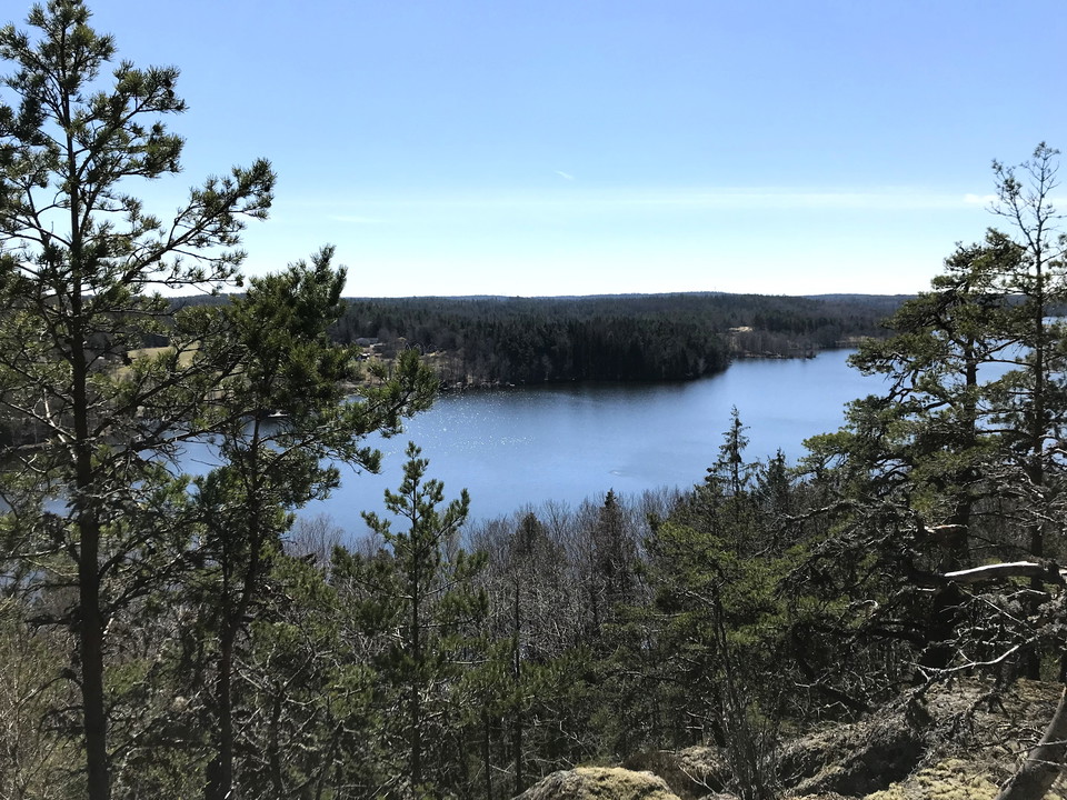 Utsikt över sjö i Uddabergets naturreservat.