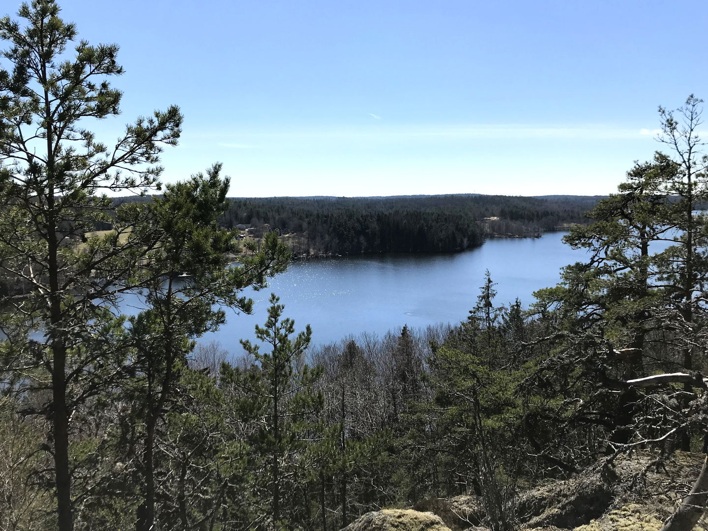 Utsikt över sjö i Uddabergets naturreservat.