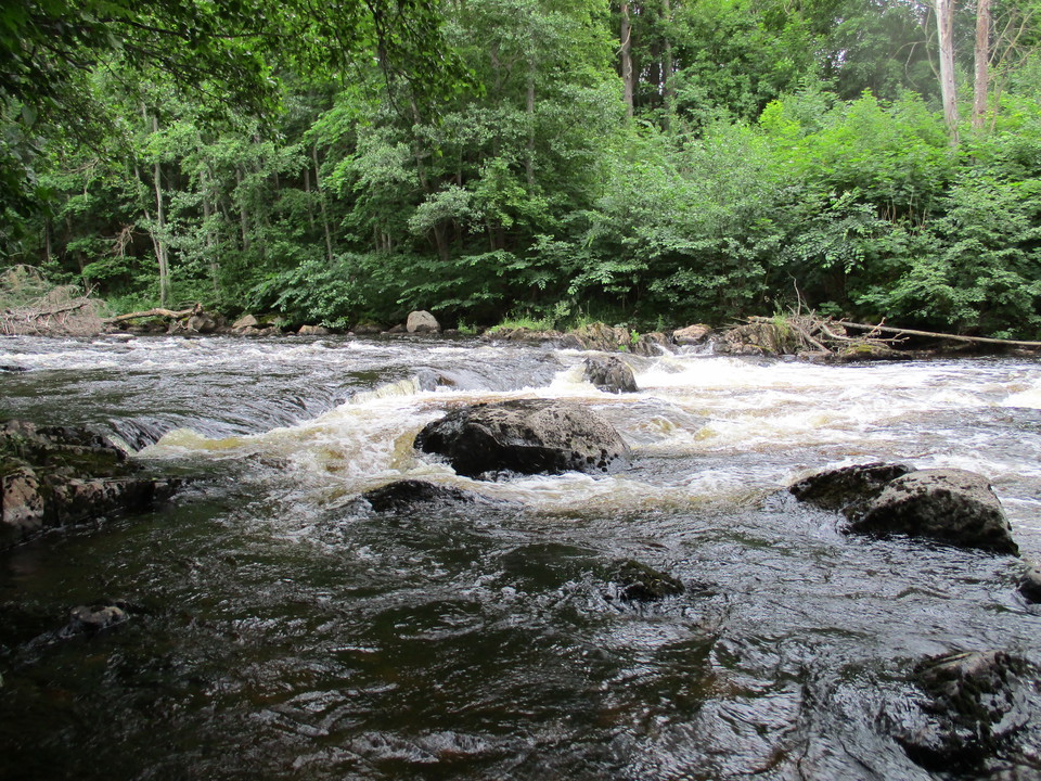 Forsande vatten runt stenar.