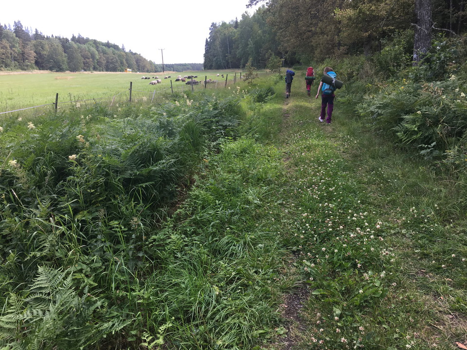 Vandring mot Fjällnora, norrifrån.