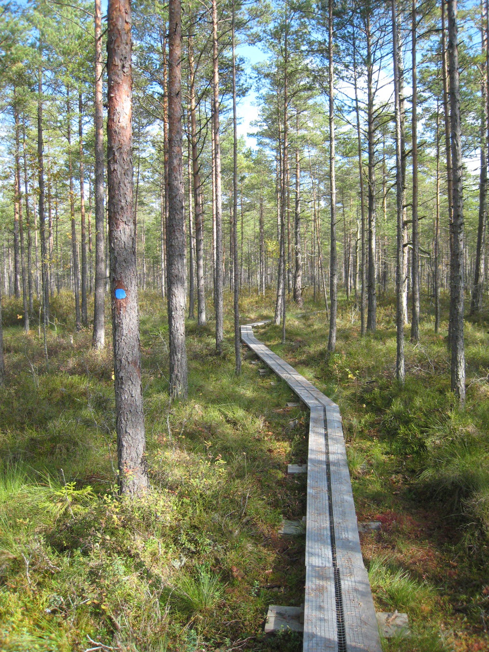 Herrängsmossen