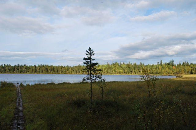 Myllyjärvi rastplats