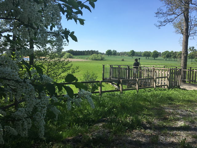 Utsiktsplats, Wikparken