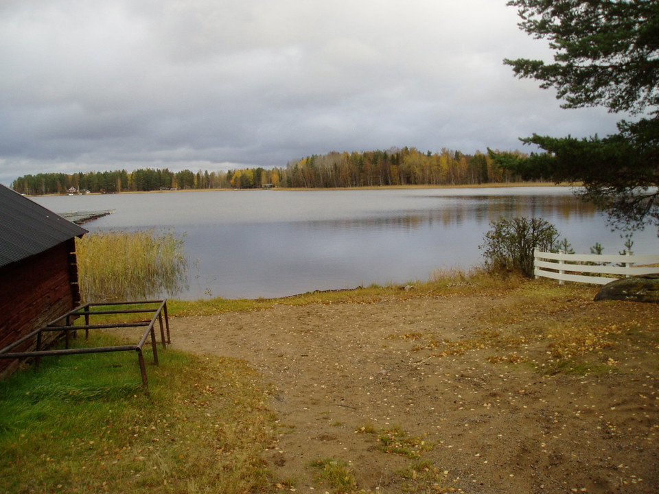 Sjövik