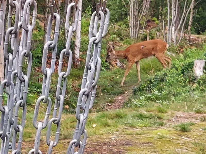 FrisbeeGolf - Høytorp discgolfpark