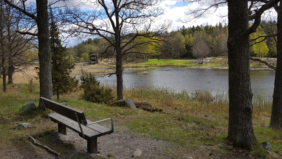 Parksoffa vid Västra Långängskärret. Foto Lidingö stad