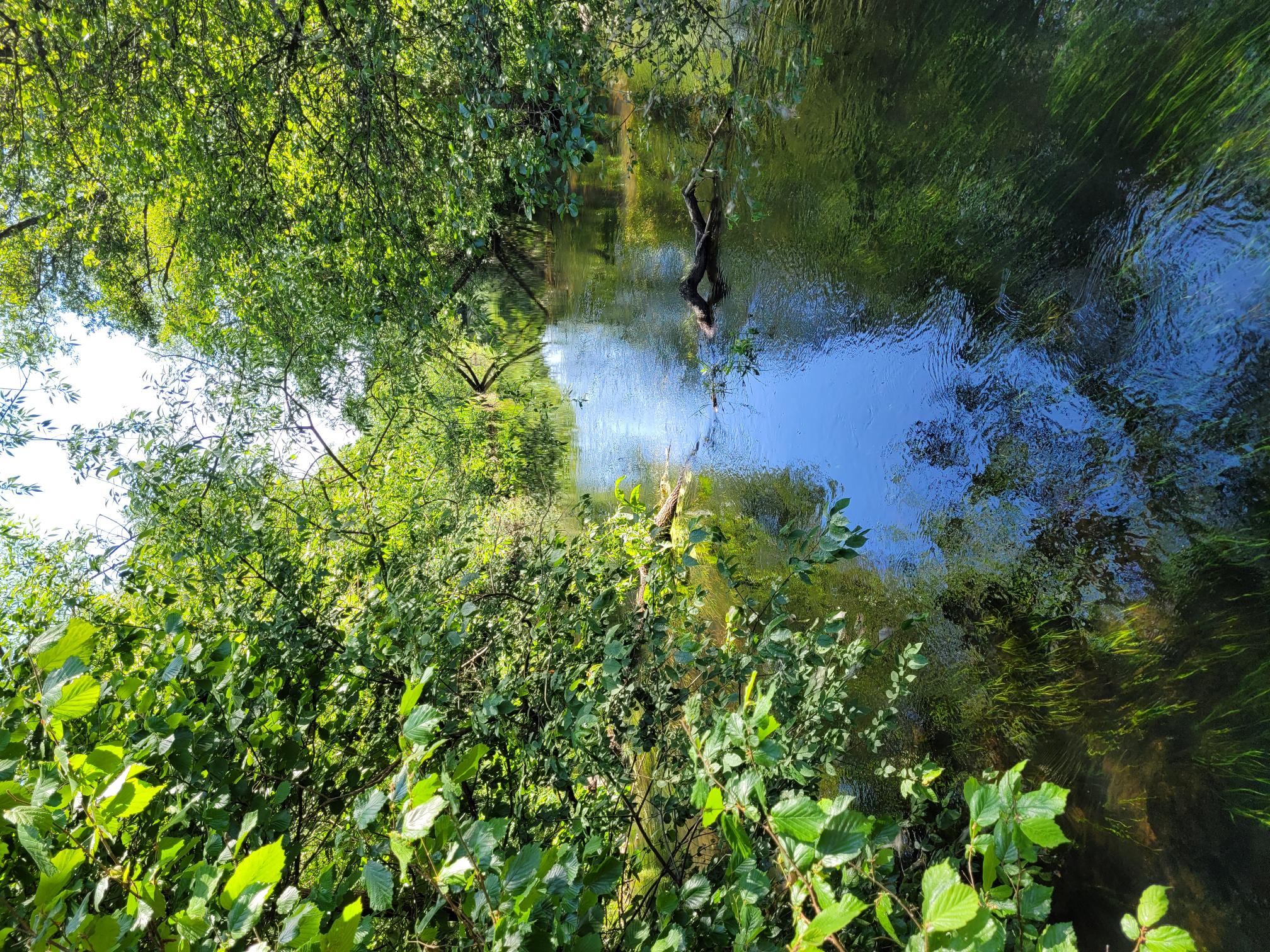 Rönne å vid Billingemölla naturreservat i Eslövs kommun.
