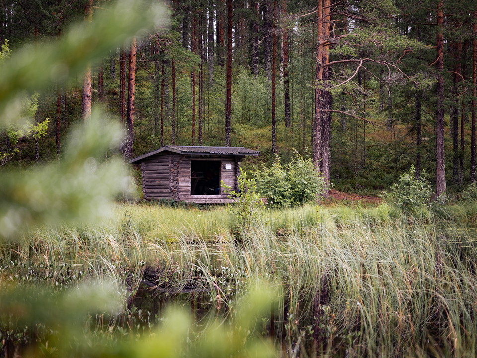 Vindskydd Rötjärnen