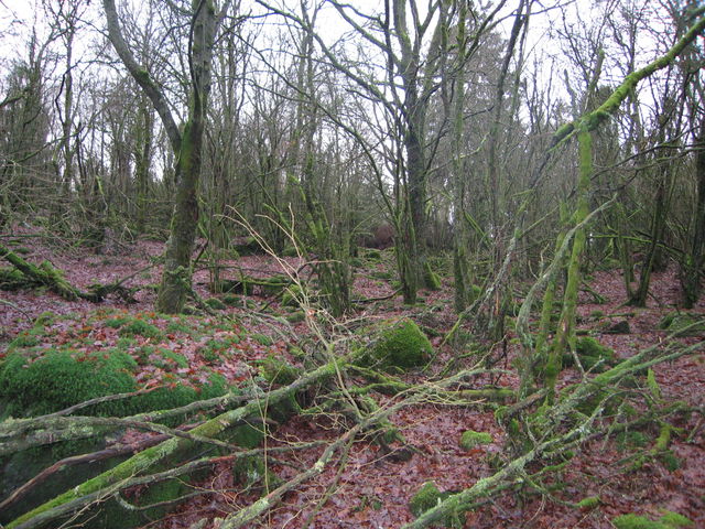 Skallabjäret naturreservat