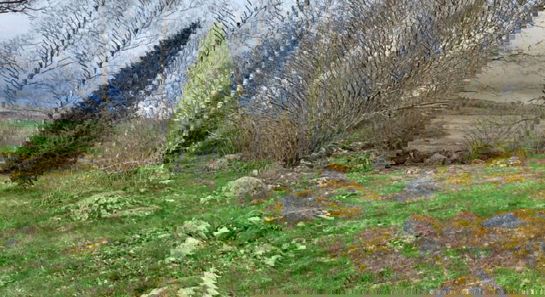 Betesmark. Foto Isabel Vitaskär /Länsstyrelsen Blekinge