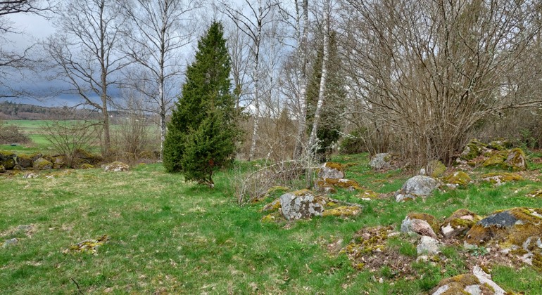 Betesmark. Foto Isabel Vitaskär /Länsstyrelsen Blekinge
