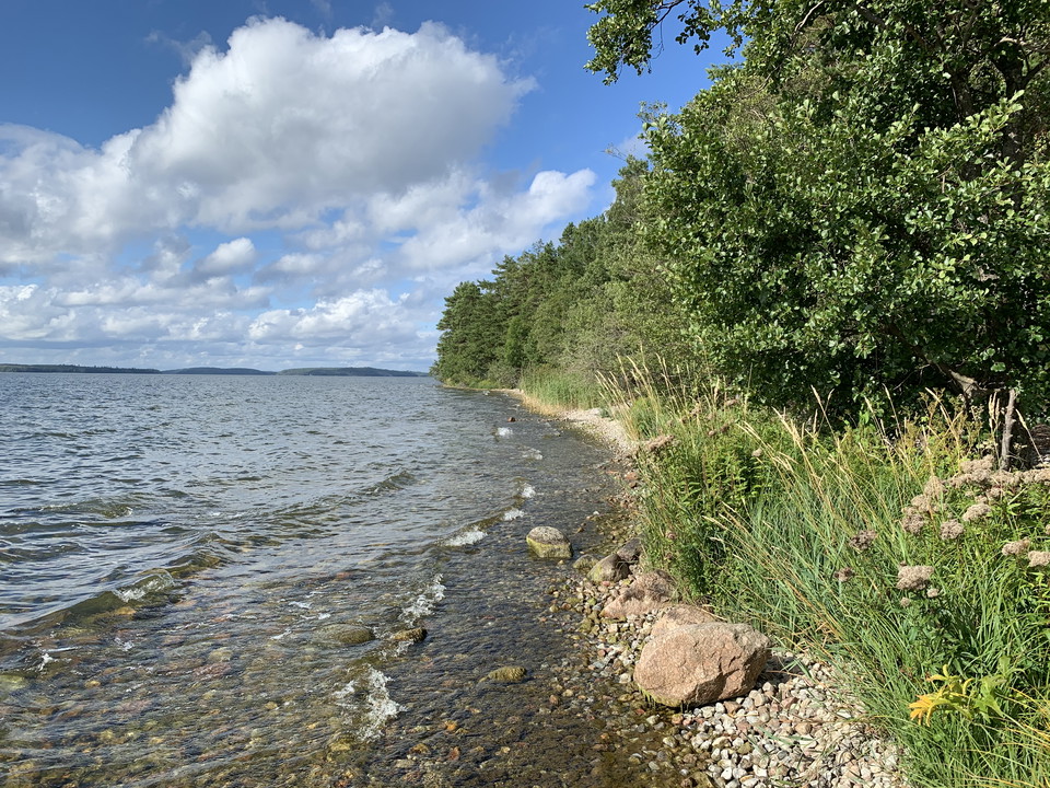 Leden följer strandlinjen i Adelsö-Sättra. 