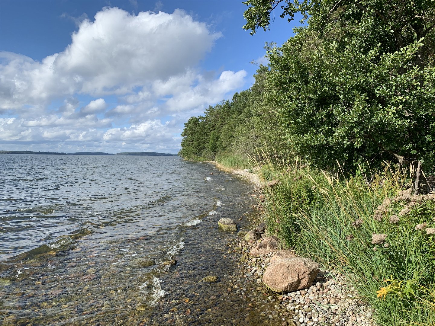 Leden följer strandlinjen i Adelsö-Sättra. 