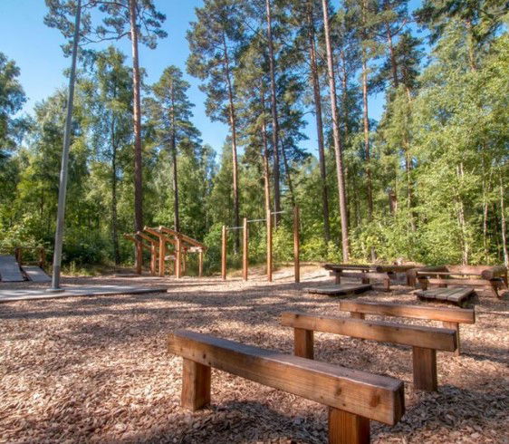 Nybroskogen, elljusslinga Ängelholm