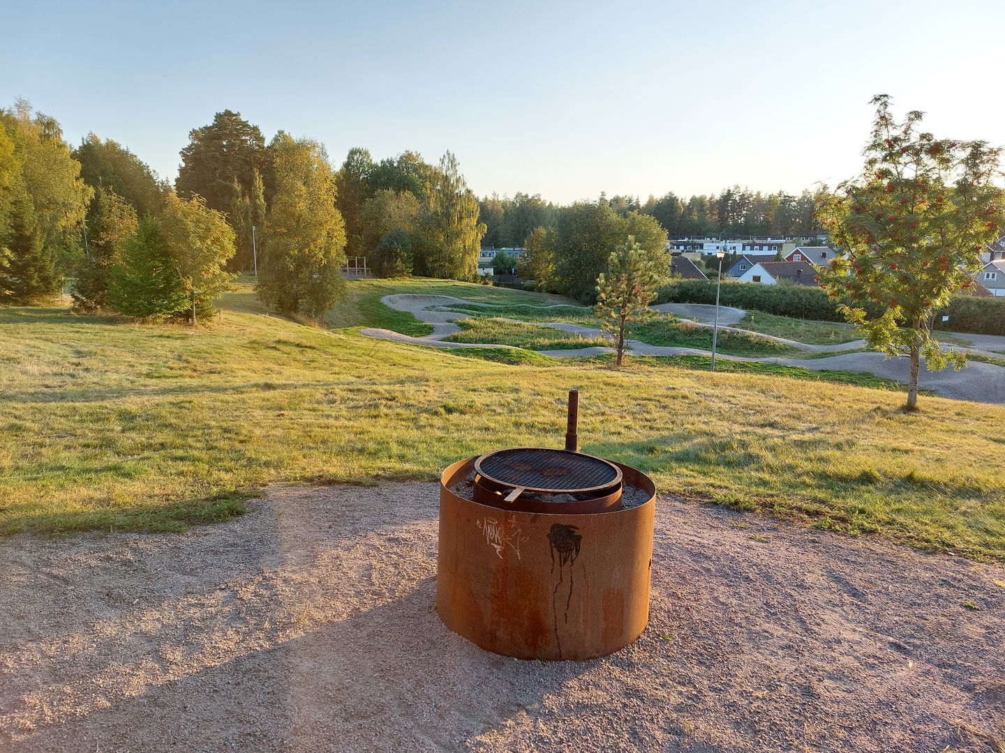 Grilla i kvällssol