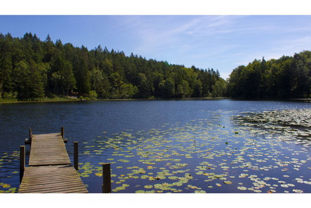Lillesjöstugans slingor
