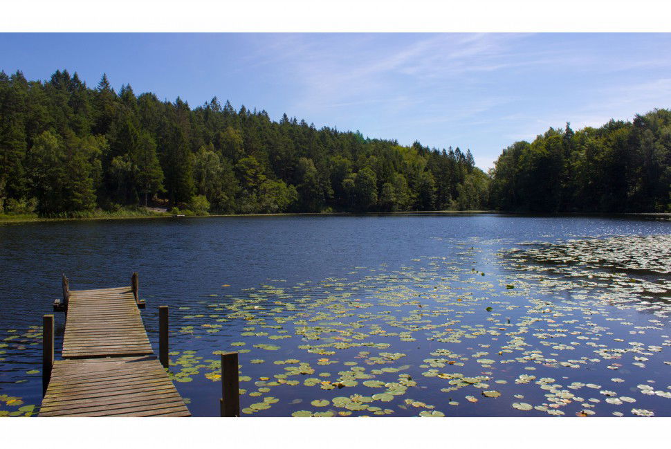 Lillesjöstugans slingor