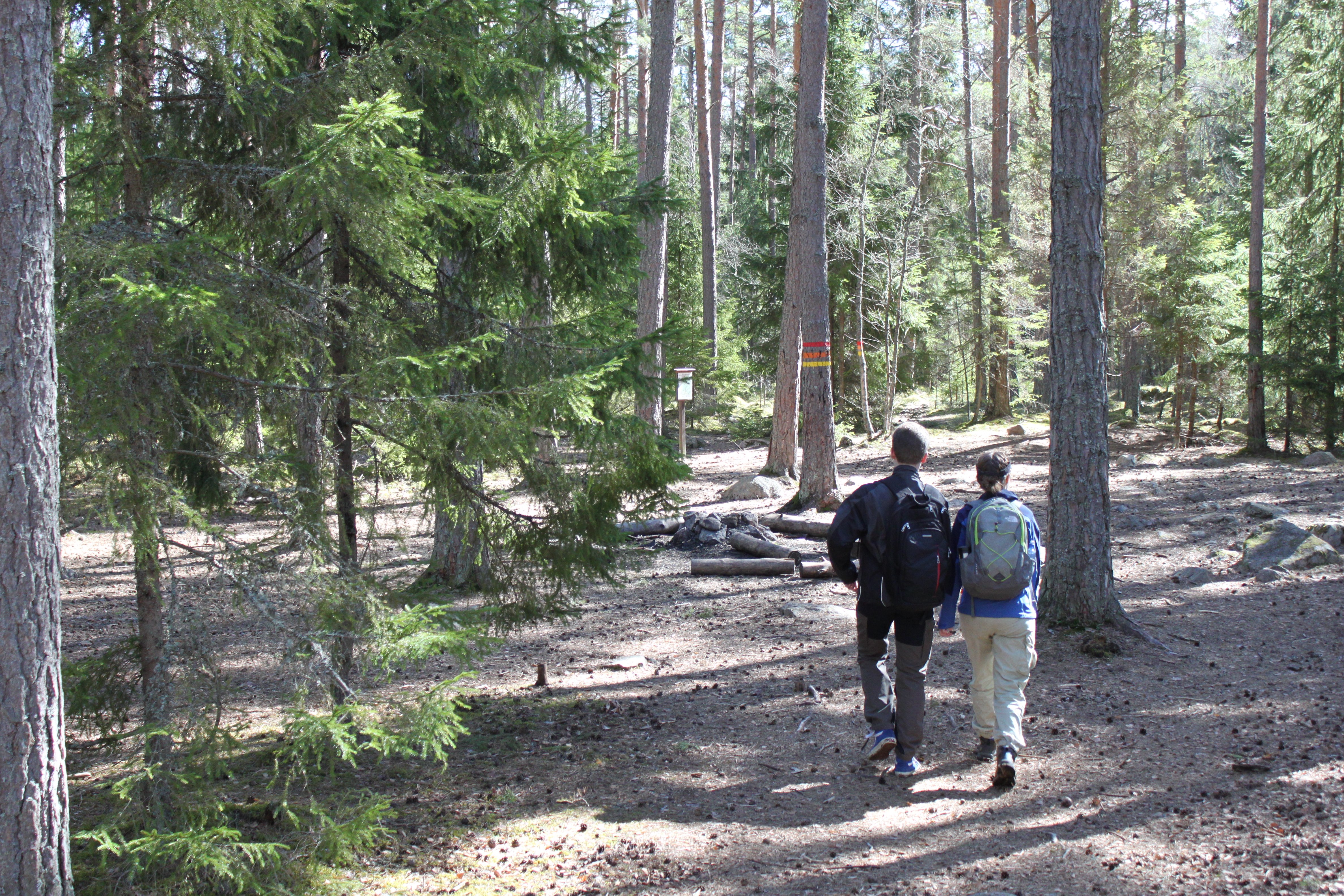 Två personer med ryggsäckar på ryggen vandrar på en bred stig genom skogen. Stigen leder fram till en glänta med en eldplats, informationstavla och olika stigmarkeringar är målade på en trädstam.