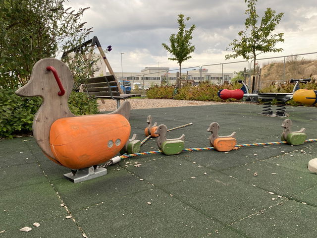 Ola Magnells park