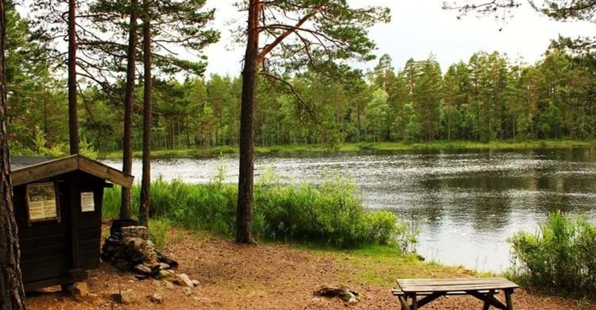 Vindskydd vid Lilla Göljen, Fjällmossen
Etapp: Kvarsebo-Sörmlandsleden
Norrköping