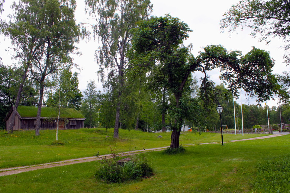 Isac Adanko