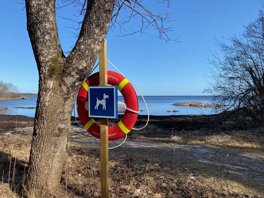 Hundbadet vid Ängskär