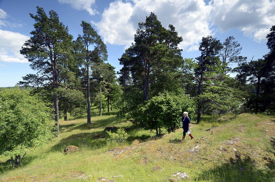 Foto Olof Näslund