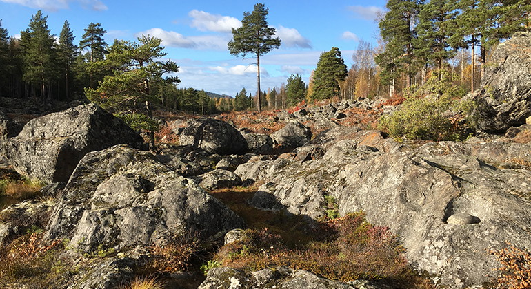 Bild från det döda vattenfallet. Till höger i bild en vattenslipad sten i en "gryta".