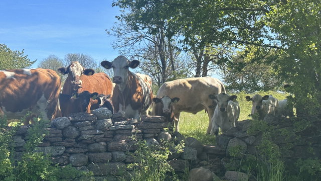 Såten, Naturreservat