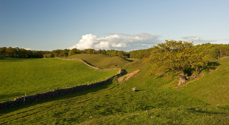 Utsikt över backlandskapet.