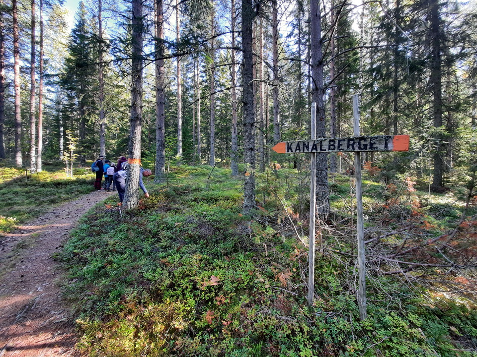 Kort men belönande vandring längs stigen till Kanalbergets topp