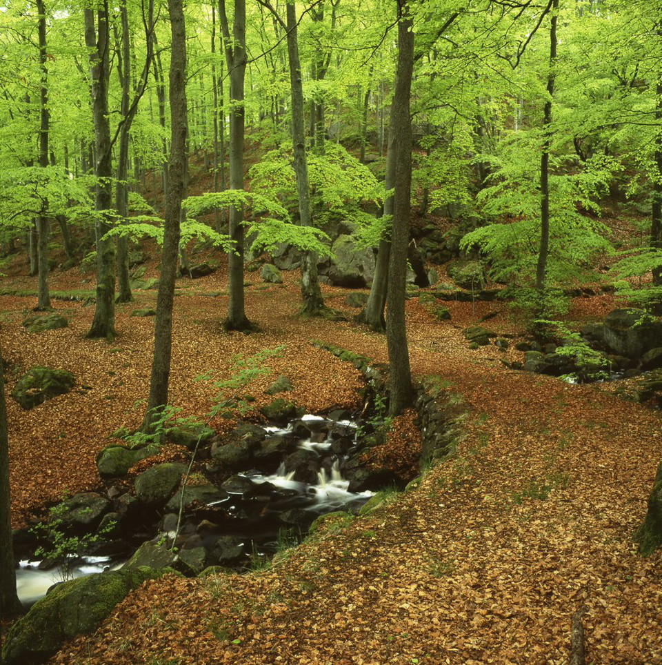 Tillbaka till bronsåldern i Hasslöv 
