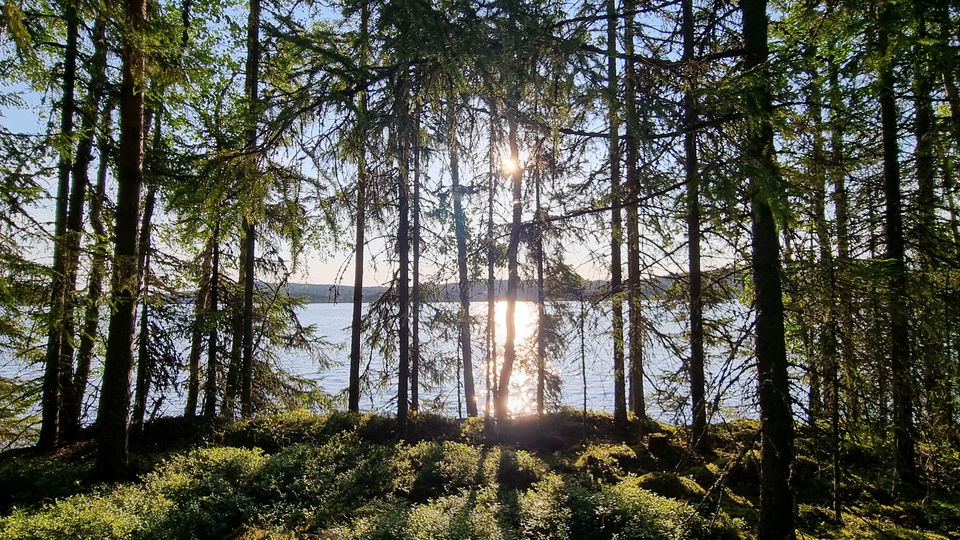 Soluppgång vid sjö.