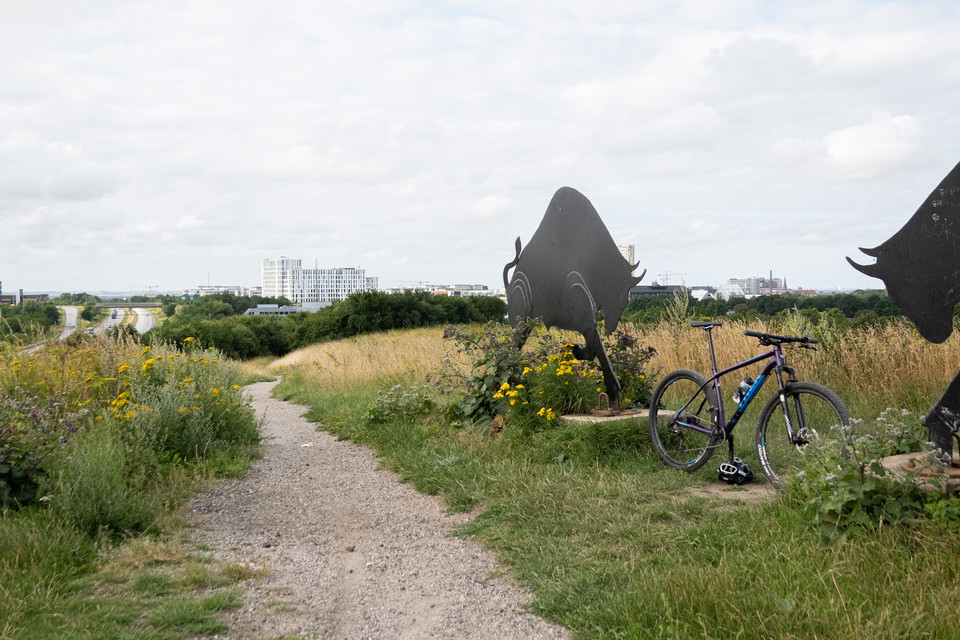 cykel parkerad vid ett mountainbikespår