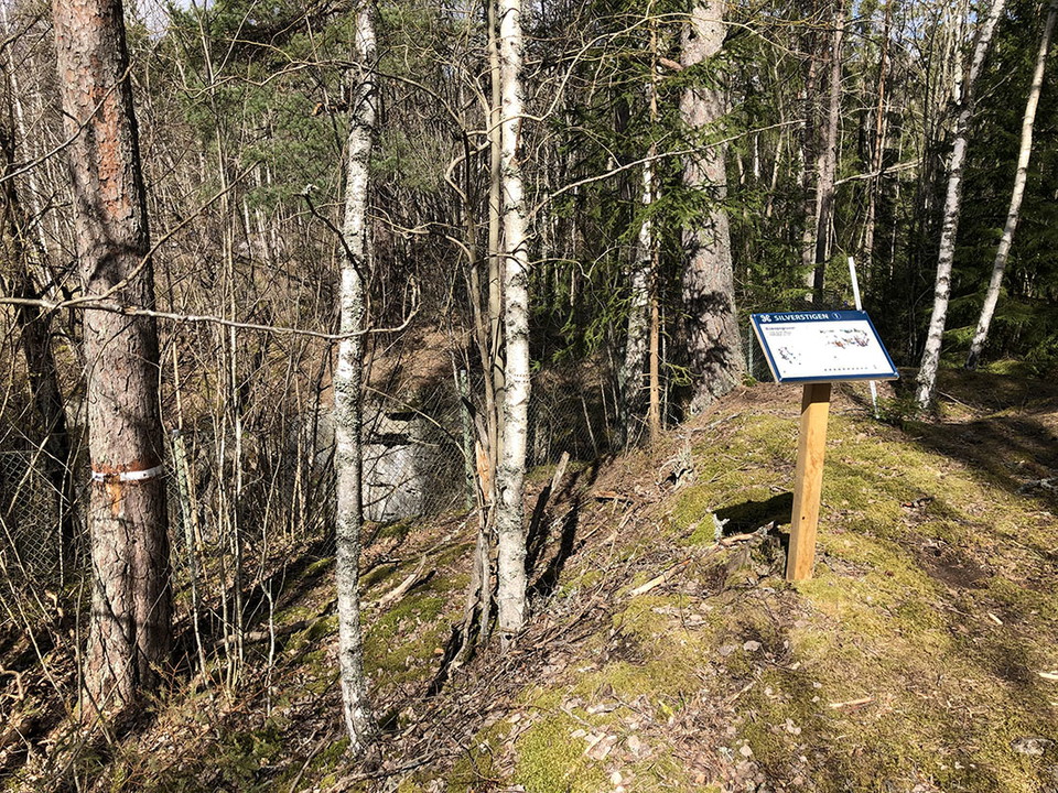 Informationstavla på en liten höjd bland unga träd.
