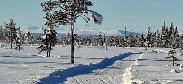 Gällivare-Allavaara