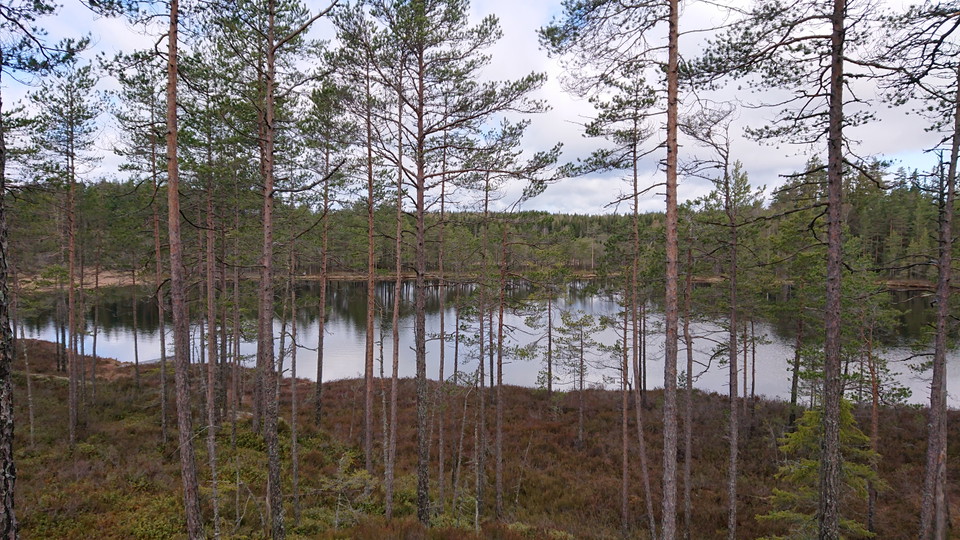 Dötjärn