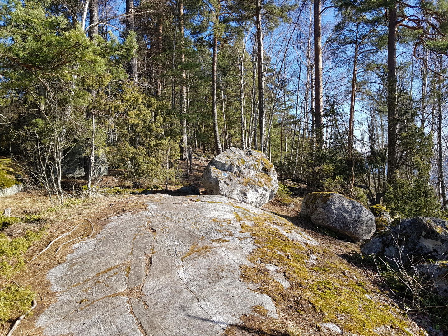 Frölunda naturreservat