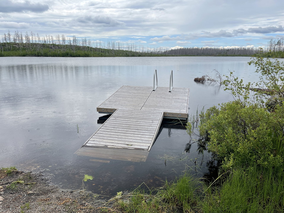Brygga med stege ligger i en lite sjö.