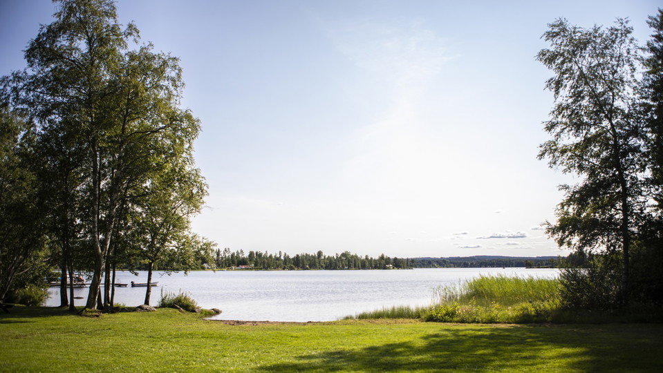 En grässtrand vid en sjö