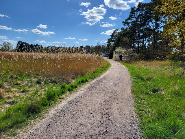 Svinö motionsspår