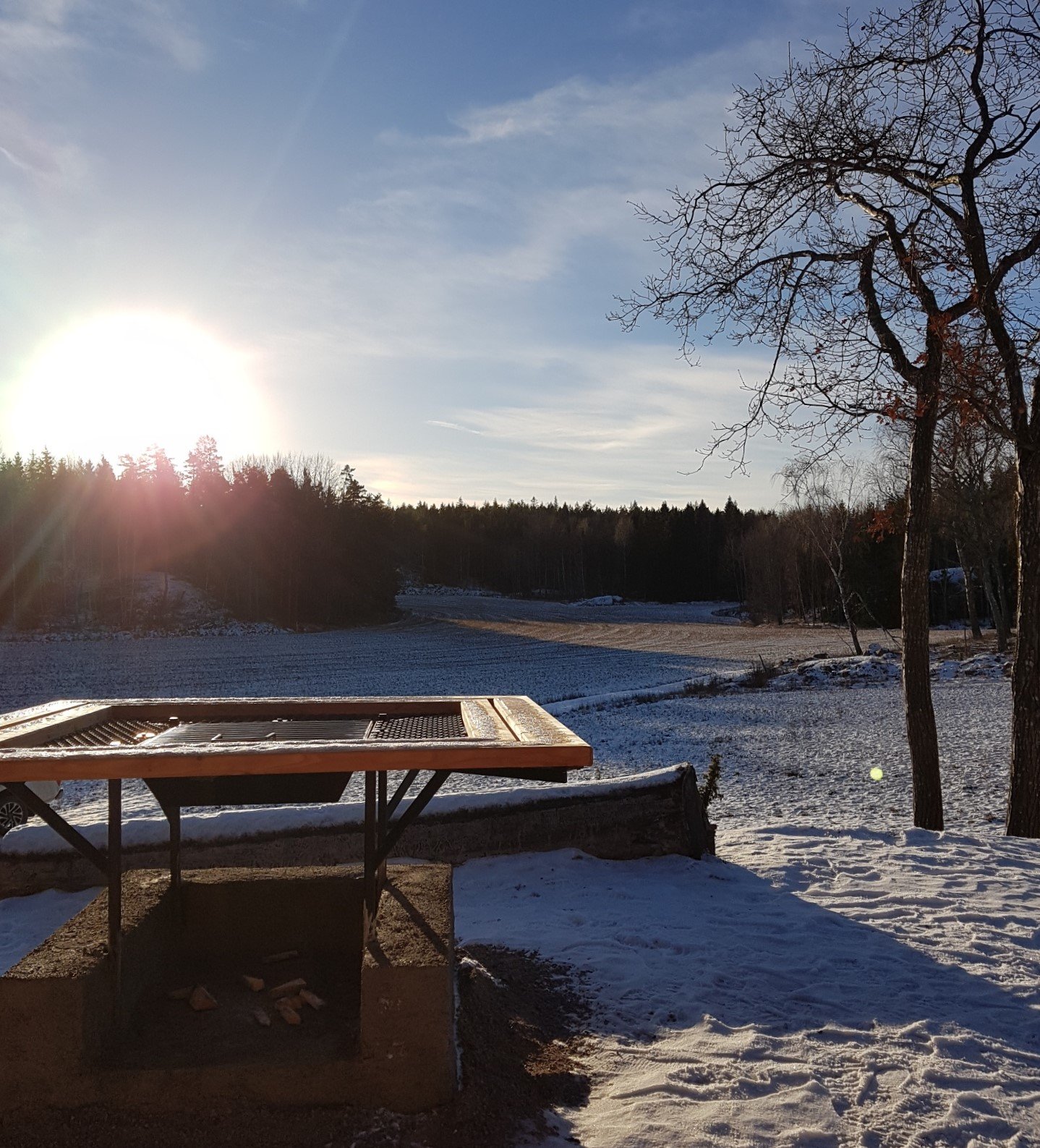 Grillplats i Norra Törnskogens naturreservat.